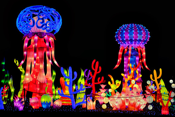 Chinese Lantern Festival