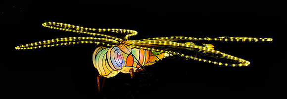 Chinese Lantern Festival