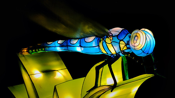 Chinese Lantern Festival