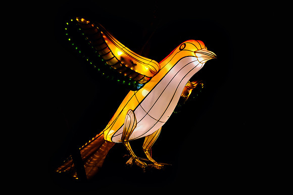 Chinese Lantern Festival