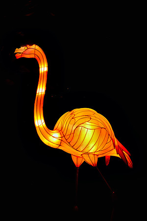 Chinese Lantern Festival