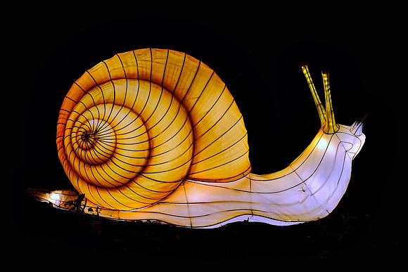Chinese Lantern Festival
