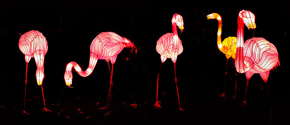 Chinese Lantern Festival