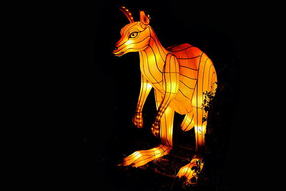 Chinese Lantern Festival