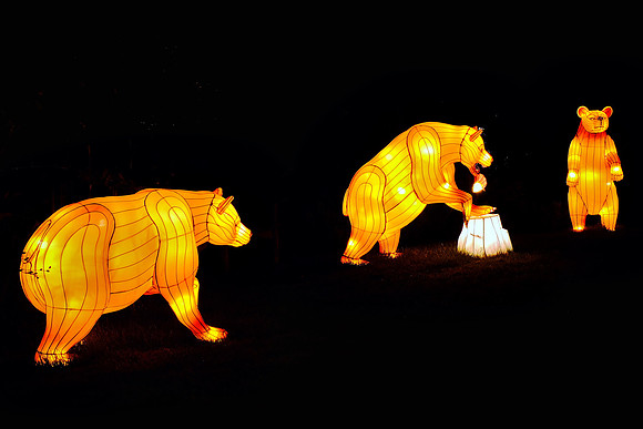 Chinese Lantern Festival