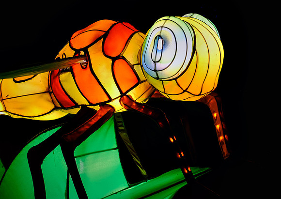 Chinese Lantern Festival
