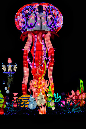 Chinese Lantern Festival