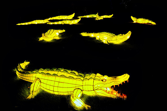Chinese Lantern Festival