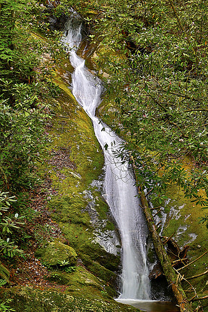 Wilson Creek, NC