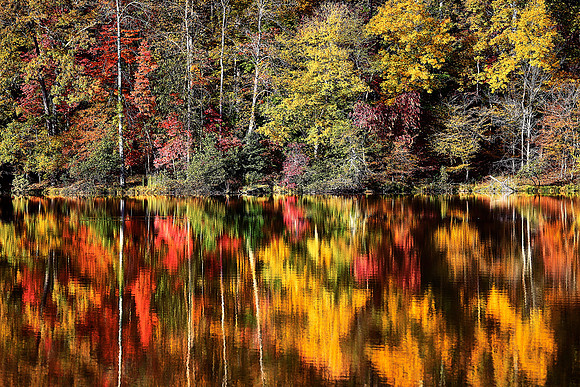 Lake Norman State Park, NC