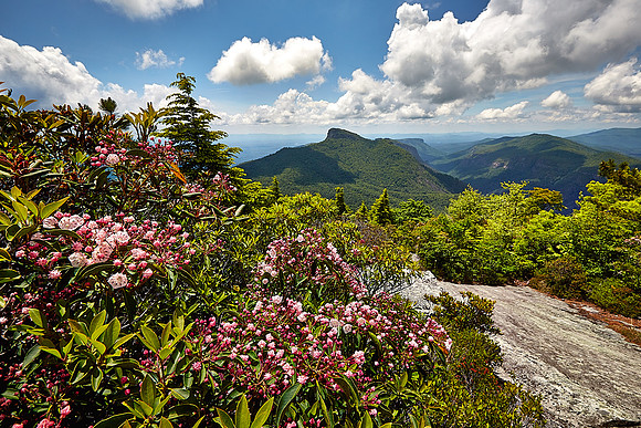 Hawksbill Mountain, Linville Gorge, NC