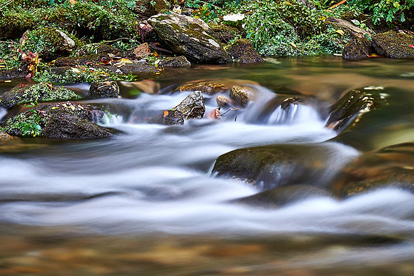 South Mountain State Park, NC