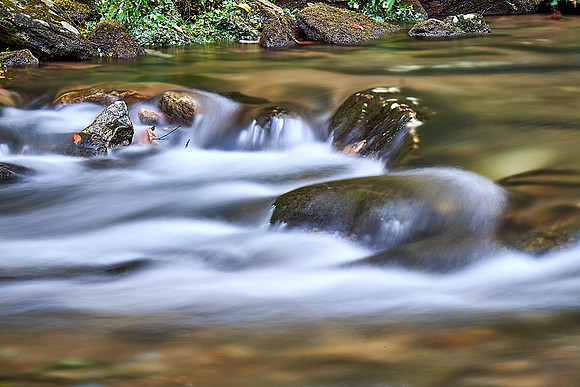 South Mountain State Park, NC