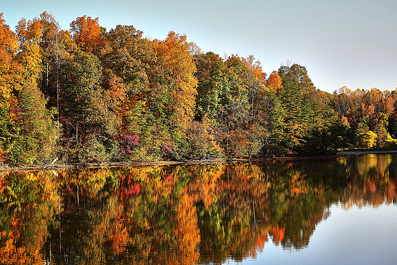 Lake Norman State Park, NC
