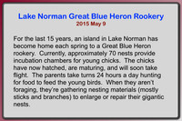 2015 May - Lake Norman Great Blue Heron Rookery