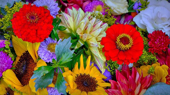 Davidson Farmer's  Market