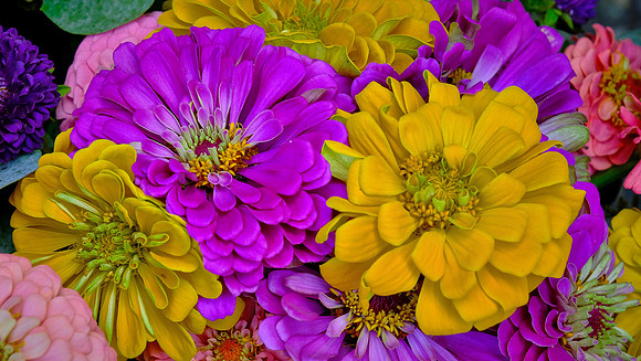 Davidson Farmer's  Market