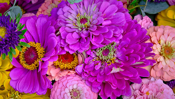 Davidson Farmer's  Market