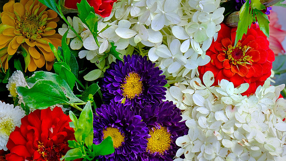 Davidson Farmer's  Market