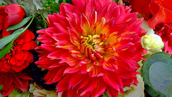 Davidson Farmer's  Market