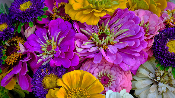 Davidson Farmer's  Market