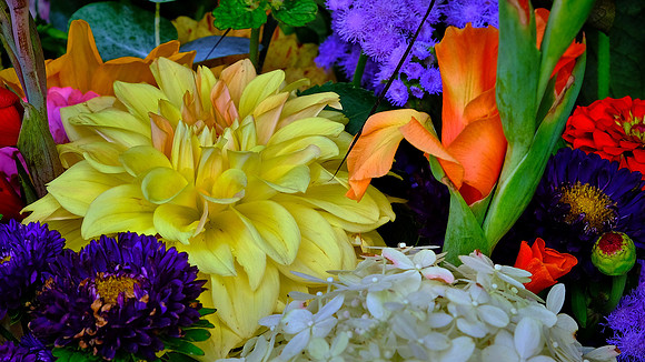 Davidson Farmer's  Market