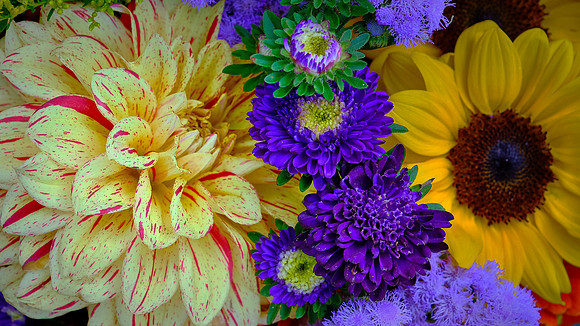 Davidson Farmer's  Market