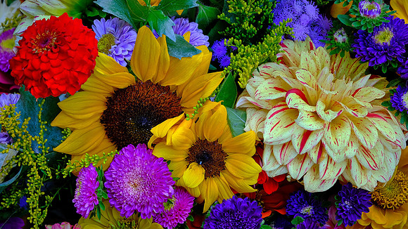Davidson Farmer's  Market