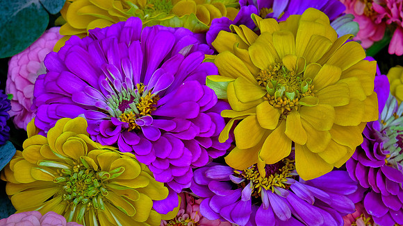 Davidson Farmer's  Market