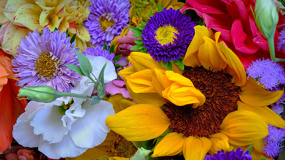 Davidson Farmer's  Market