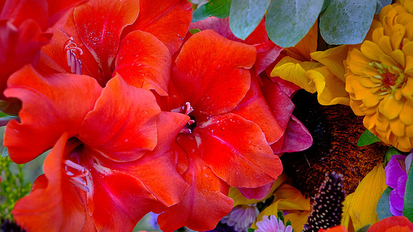 Davidson Farmer's  Market