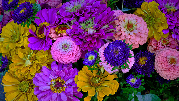 Davidson Farmer's  Market