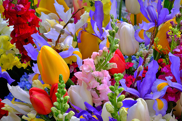 Davidson Farmer's Market