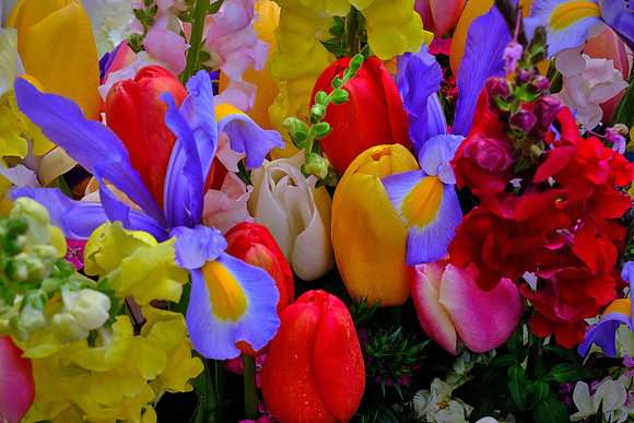 Davidson Farmer's Market