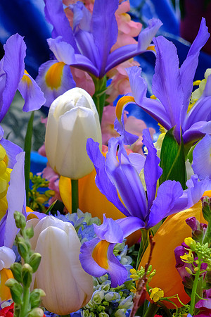 Davidson Farmer's Market