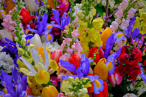 Davidson Farmer's Market