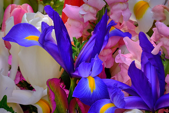 Davidson Farmer's Market