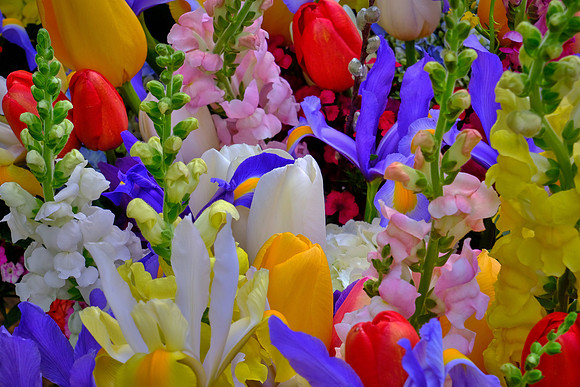 Davidson Farmer's Market