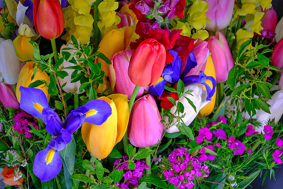 Davidson Farmer's Market
