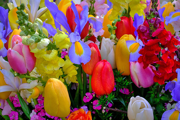 Davidson Farmer's Market