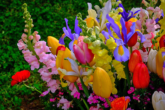 Davidson Farmer's Market