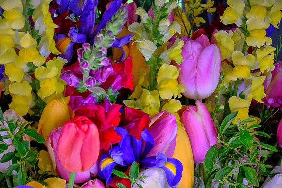 Davidson Farmer's Market