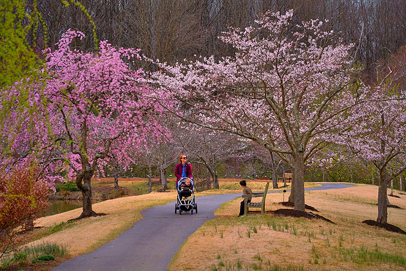 Meadowlark Botanical Garden, Vienna, VA