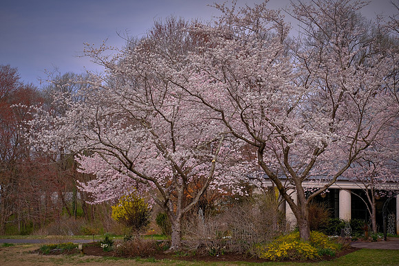 Meadowlark Botanical Garden, Vienna, VA