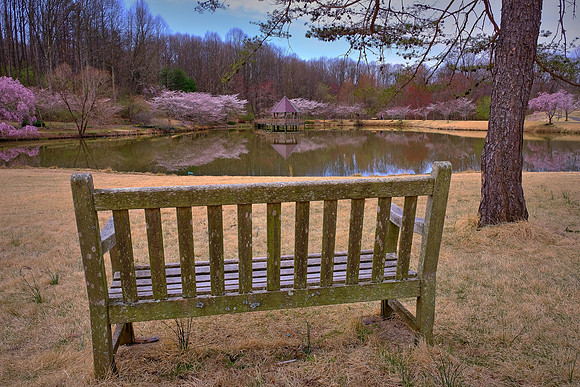 Meadowlark Botanical Garden, Vienna, VA