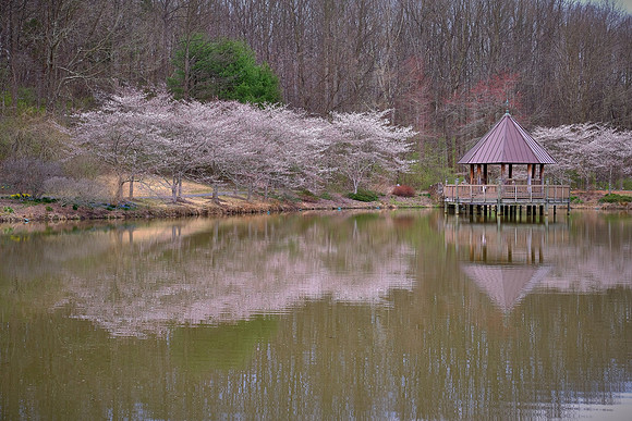 Meadowlark Botanical Garden, Vienna, VA