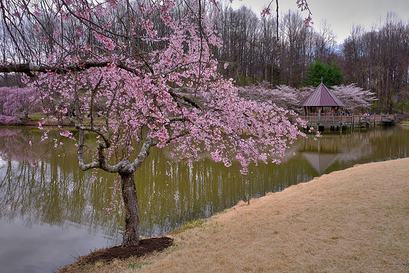 Meadowlark Botanical Garden, Vienna, VA