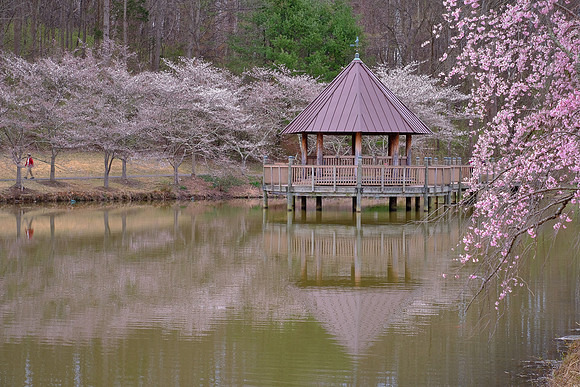 Meadowlark Botanical Garden, Vienna, VA