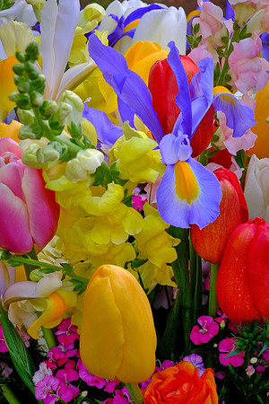 Davidson Farmer's Market