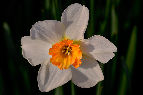 Daniel Stowe Botanical Gardens, NC